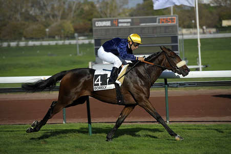 Actualités Hippiques